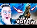 НА МЕНЯ НАПАЛИ ВОЛКИ! ОПАСНАЯ ТАЙГА! METRO EXODUS#16