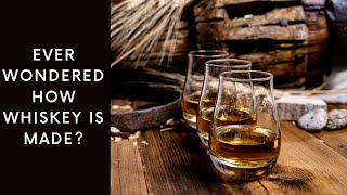 From Grain To Whiskey A Journey Through The Art Of Distillation