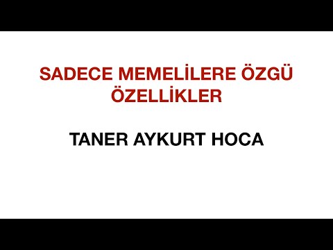 Video: Memelilerin özellikleri Nelerdir