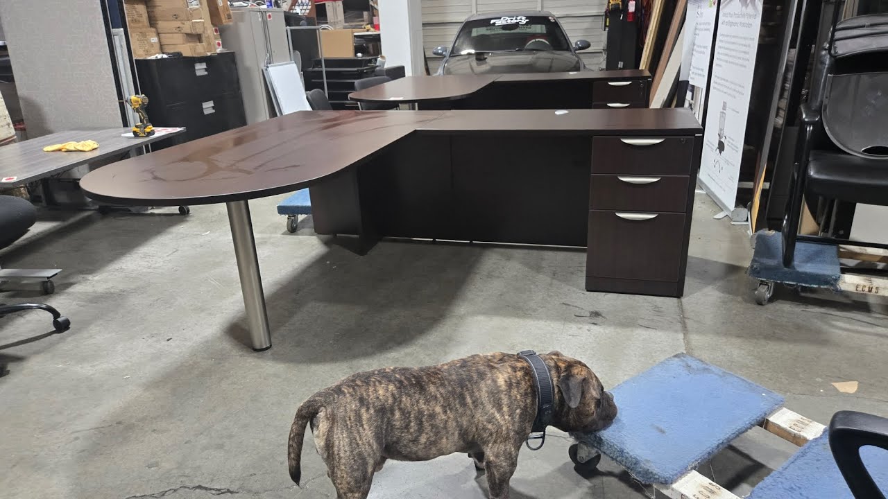 INSANE Office Furniture Deal! 6x7 Espresso L-Desks + 8ft Conference Table deals 👌 