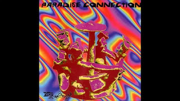 Paradise Connection - Source Of Emotion