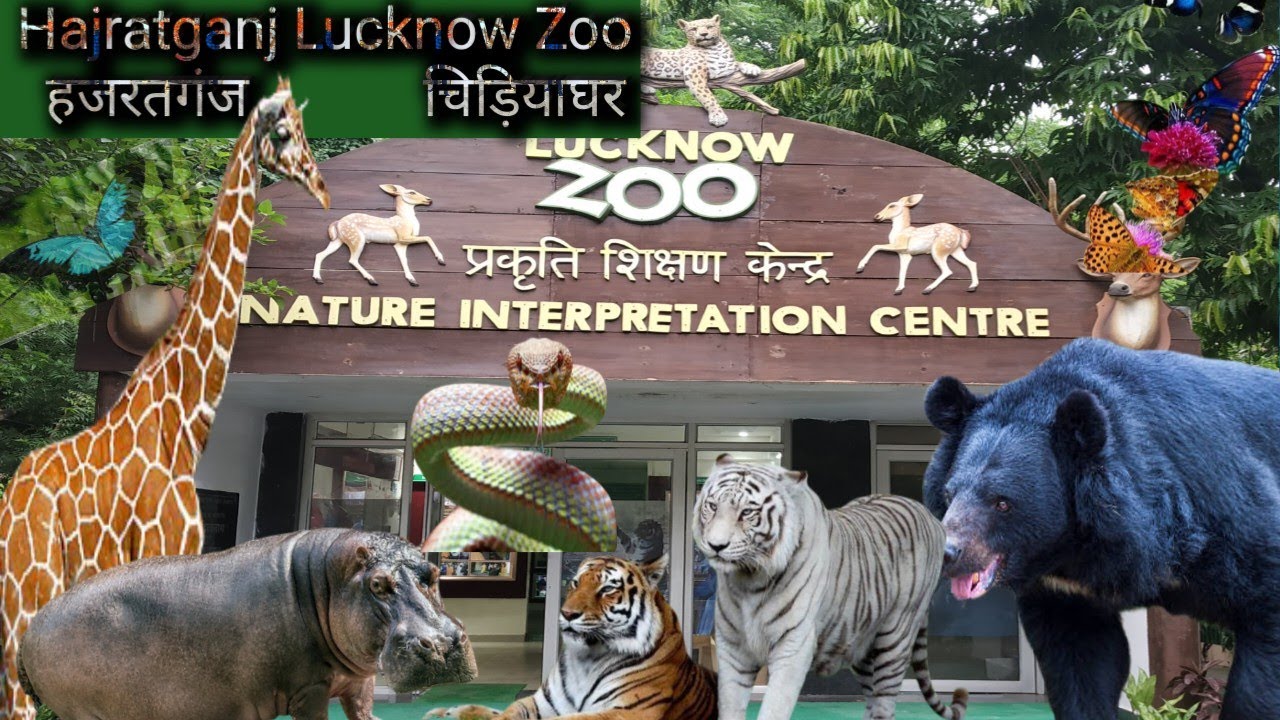 lucknow zoo full tour 2025 | नवाब वाजिद ali शाह zoological garden | lucknow chidiyaghar |