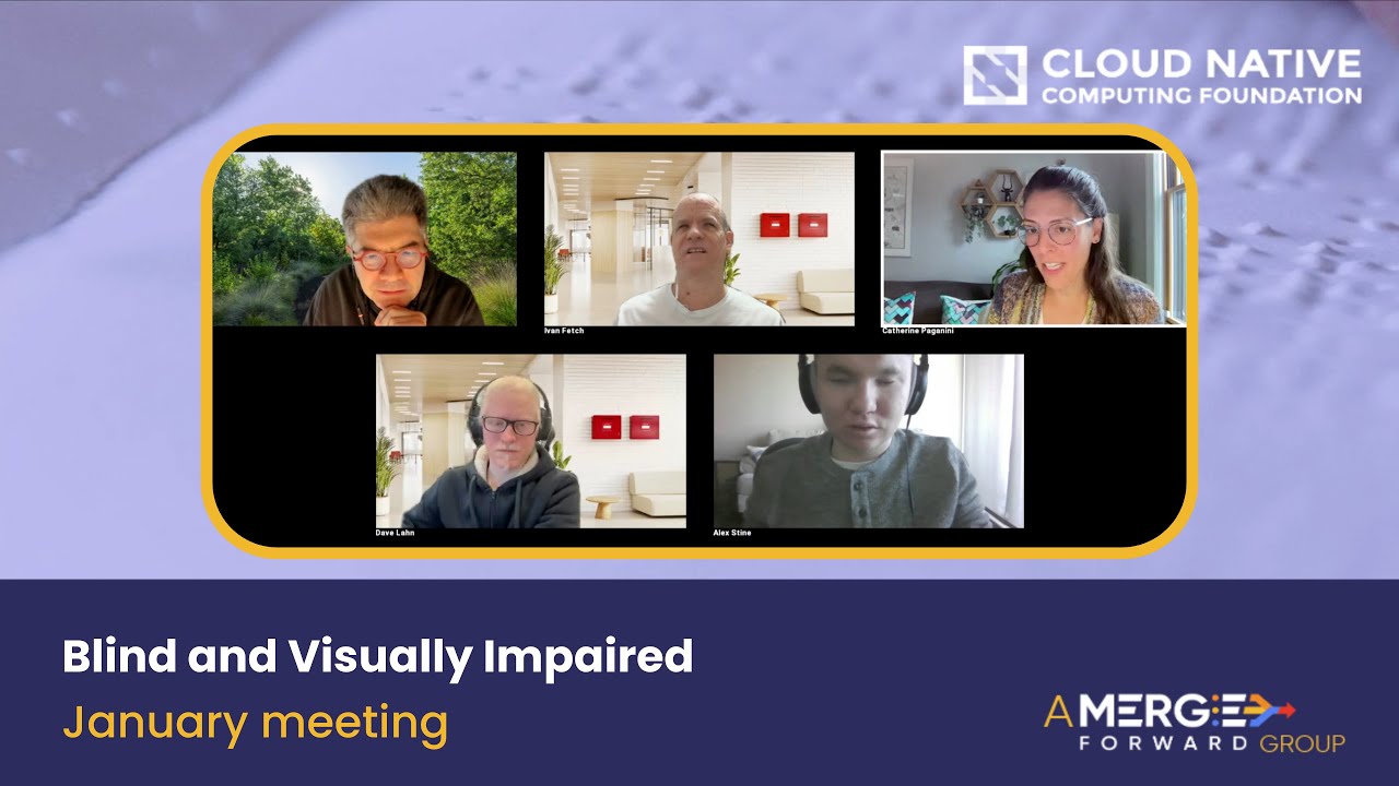 Blind & Visually Impaired Initiative (BVI) Meeting - January 2026