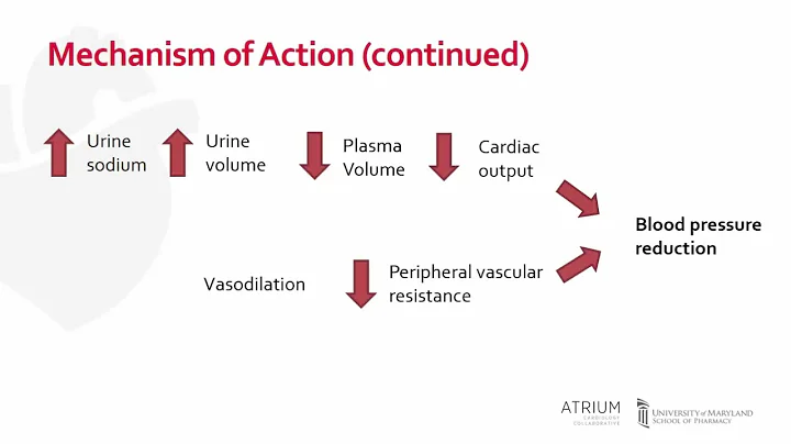 A Focus Series on Hypertension: Thiazide Diuretics