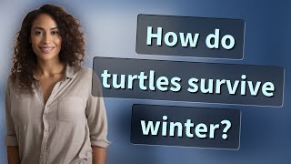 How do turtles survive winter?