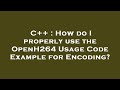 C++ : How do I properly use the OpenH264 Usage Code Example for Encoding? Mp3 Song