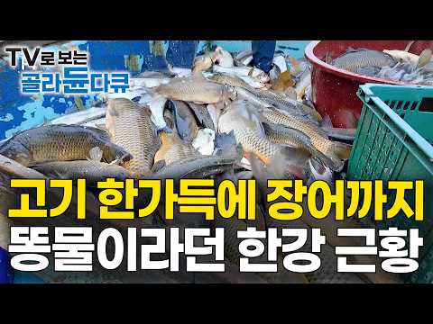 오전엔 고기 쓸어 담고, 오후엔 장어 줍는 한강 어부｜장어 새우 가물치 없는 게 없는 한강 근황｜PD로그｜#골라듄다큐