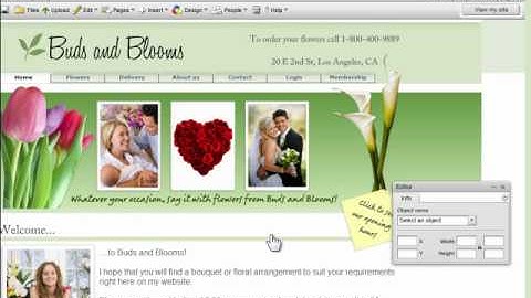 How to change the page size with website builder ezweb123.com