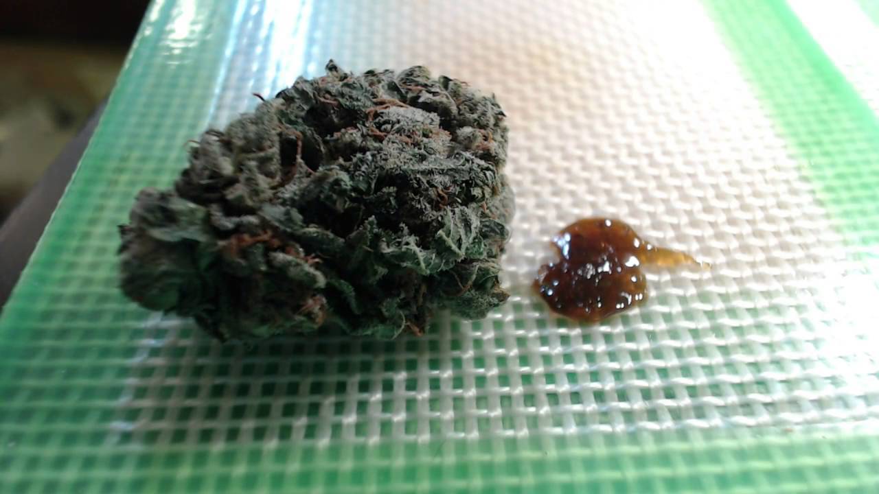 Strain Review - LVPK - Las Vegas Purple Kush - MMJ Total Health Care