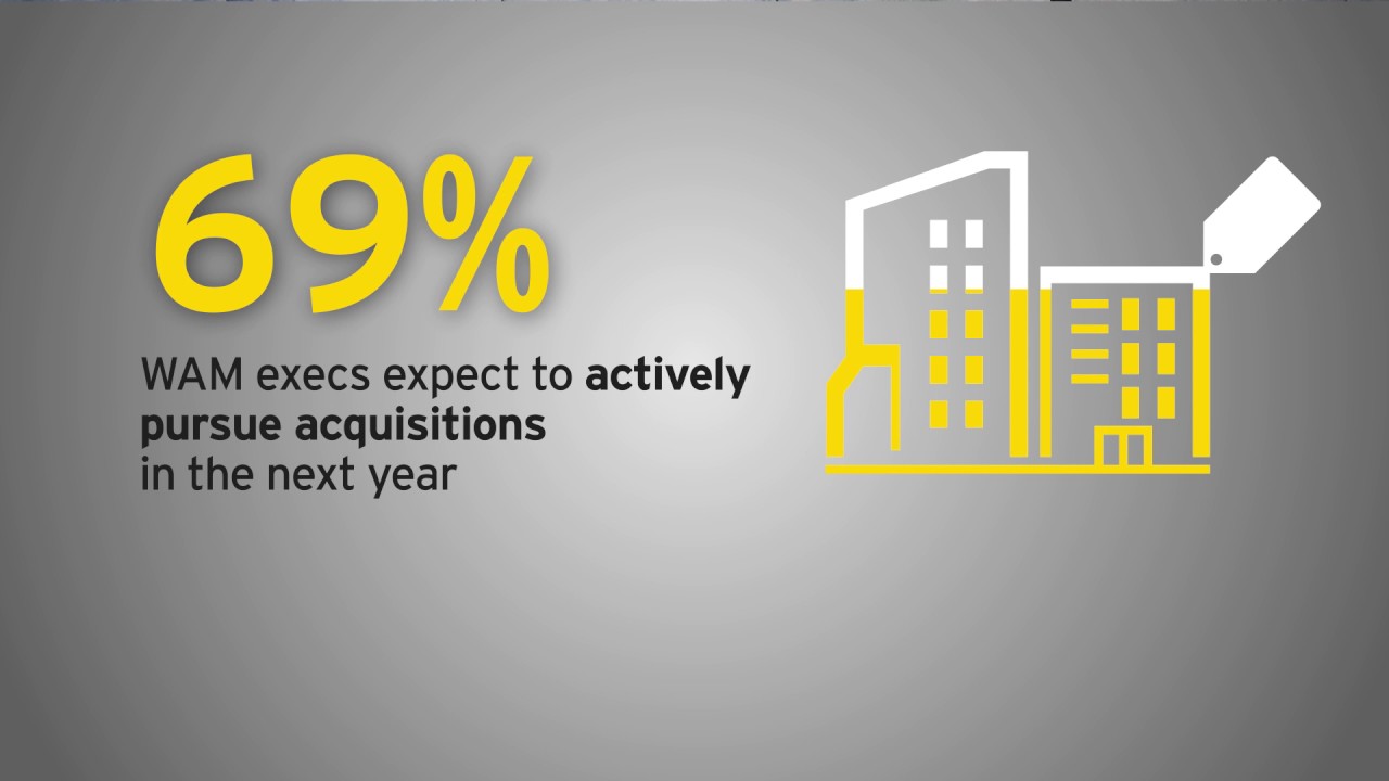 2017 Wealth & Asset Management M&A Report_EY Global Capital Confidence Barometer