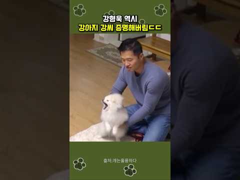 강형욱 강아지 강씨 증명해버림 ㄷㄷ #강형욱 thumbnail