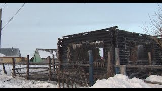 Мать и двое малолетних детей погибли в пожаре (Башкирия)