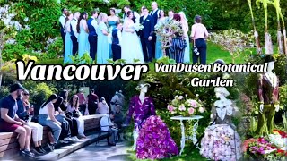 Vancouver Flower Festival Begins💐🪷🌸 | VanDusen Botanical Garden/Walking Tour 🇨🇦[4K]