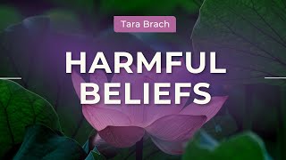 Real But Not True: Freeing Ourselves from Harmful Beliefs, with Tara Brach