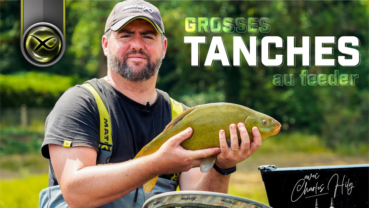 Grosses Tanches au feeder avec Charles Hily - MATRIX FISHING TV France #2023 #pêche #france #matrix