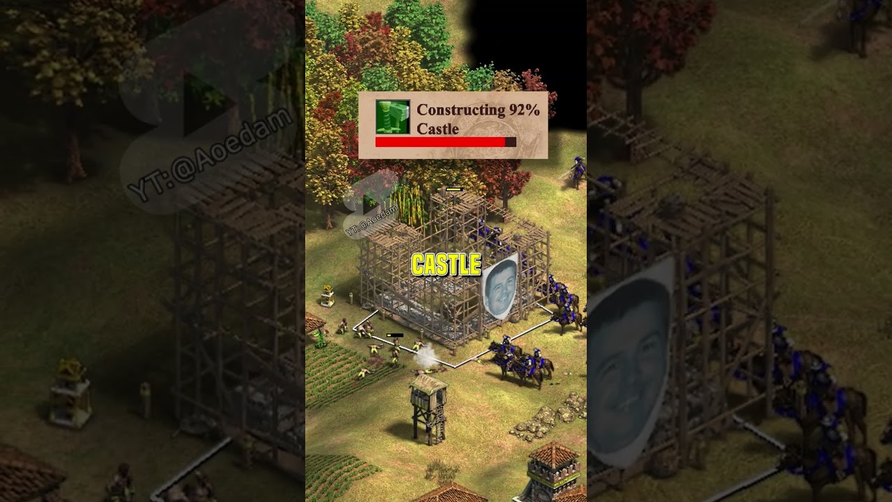 Favorite Activity in AoE2 - [Age of Empires 2]