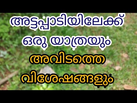 mybeeran vlogs attapadi tour അട്ടപ്പാടി ലേക്ക് ഒരു യാത്ര