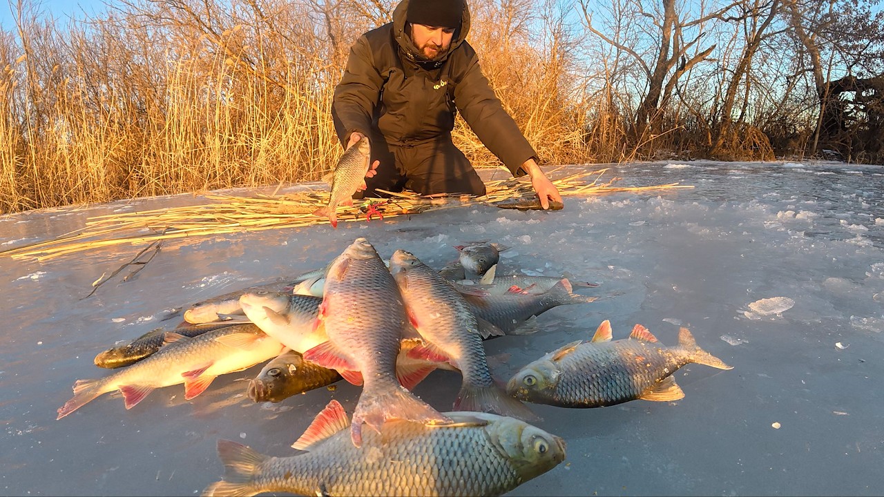 КРУПНАЯ КРАСНОПЁРКА КОСЯКАМИ КРУЖИТСЯ В ЭТОЙ ЯМЕ! Подлёдная рыбалка в Астрахани.