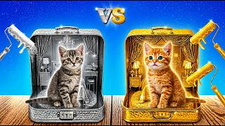 How to Make a Secret Room for Kittens! Gold Cat vs Silver Cat!