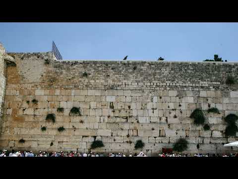 דינים הנוהגים מי''ז בתמוז | הרב יהודה יצחקי שליט''א