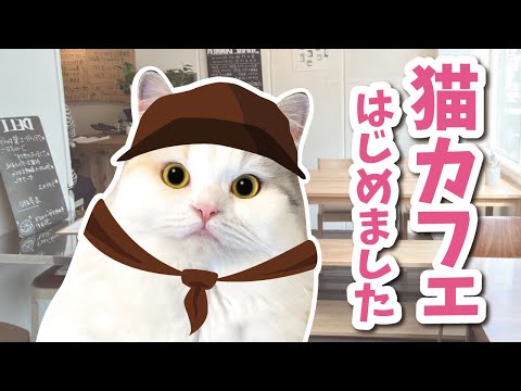 つくしが猫カフェを始めました