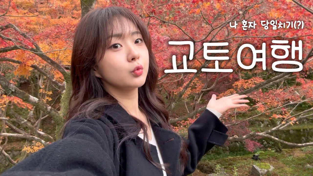 교토 단풍 명소 보고🍁 디저트 먹고🍰 아라시야마 교토말차 동복사 사가 토롯코 열차...