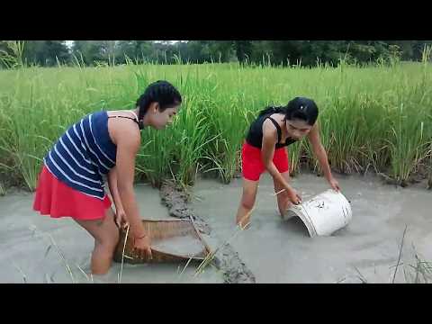 Amazing khmer fishing at salakroa district pailin Province(part46)