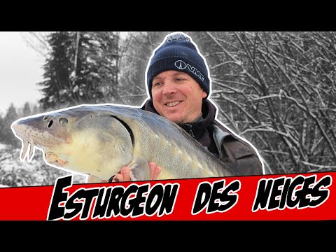 Pêche de l'esturgeon