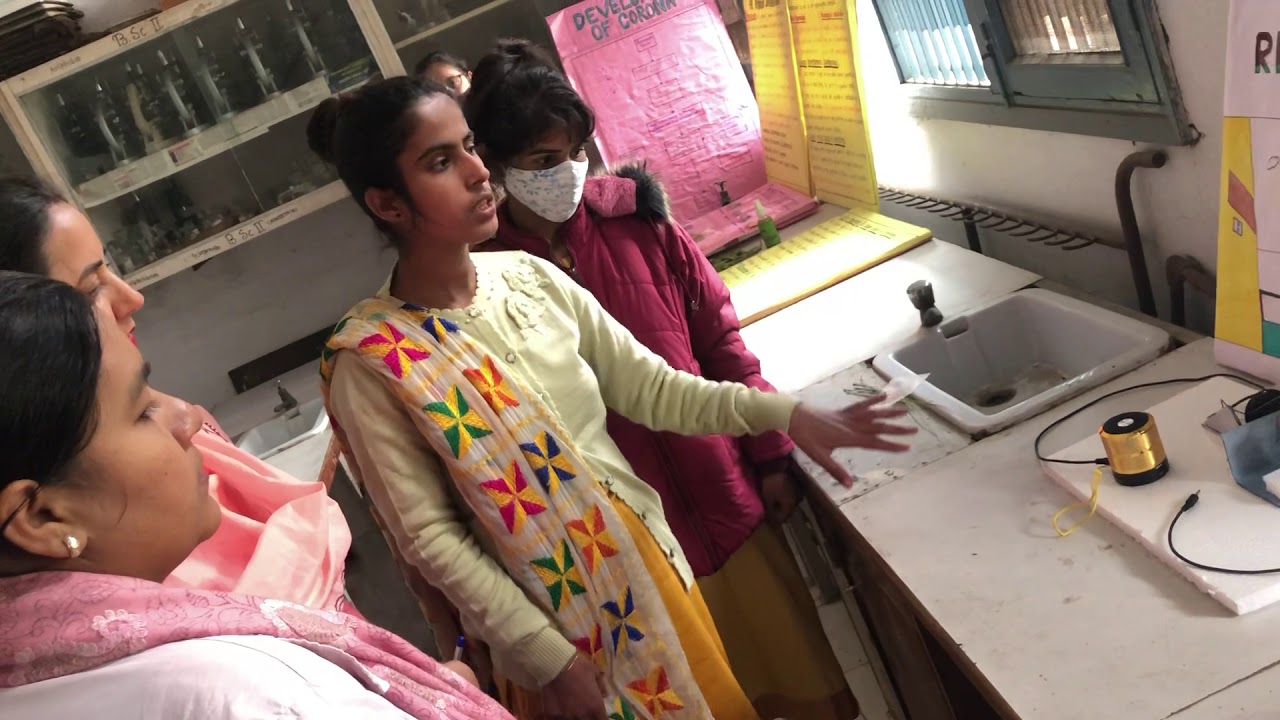 Science Exhibition Deptt. Of Zoology YouTube