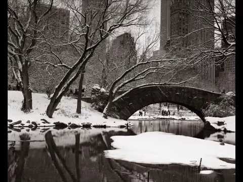 Winter Wonderland- Dean Martin(with lyrics)