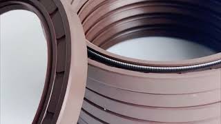 TC oil seal