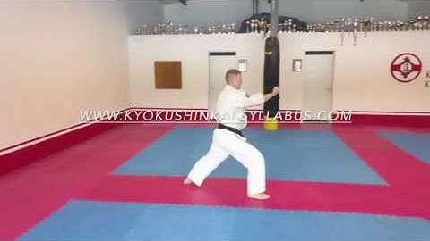 Kyokushinkai Syllabus Trailer