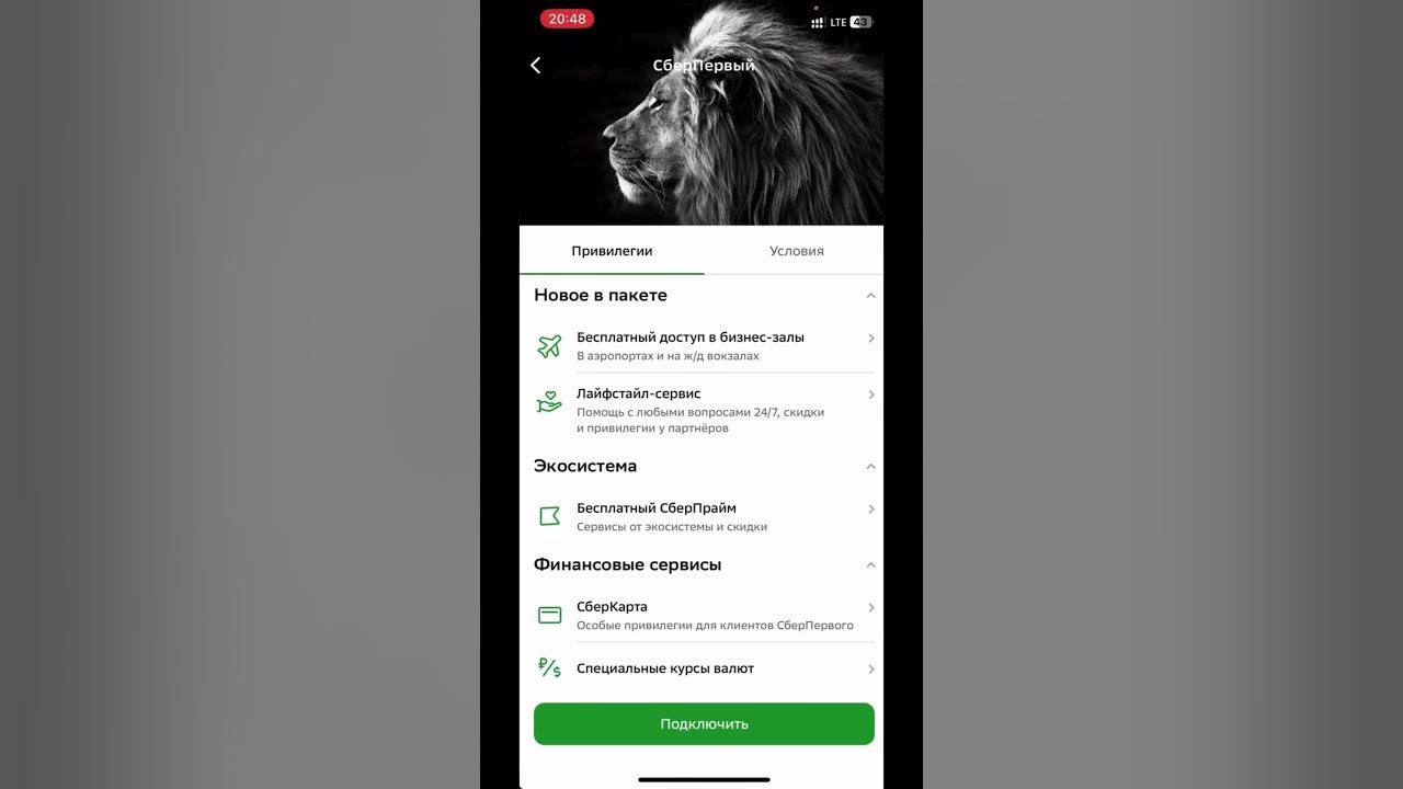 Как донатить через сбер. Как донатить через сбер