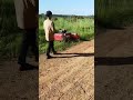 Remote control diesel grass cutter