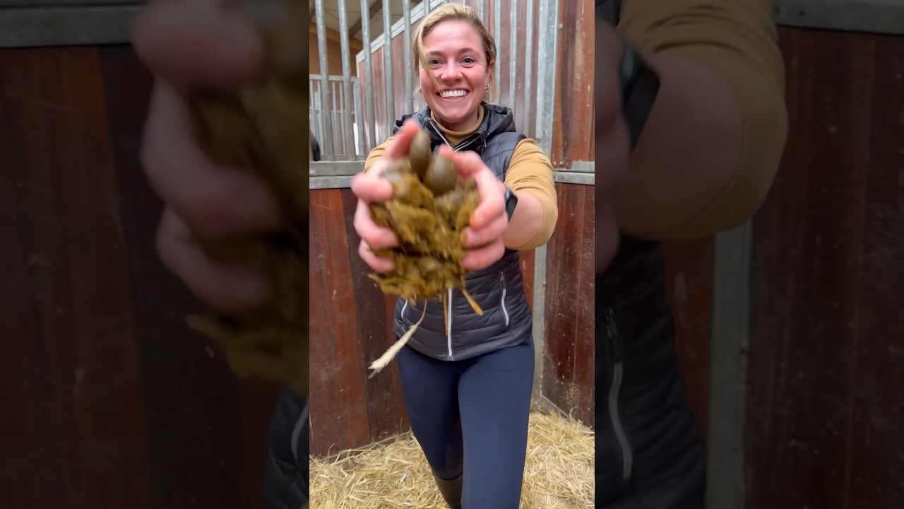 Pferdehofliebe - Äppel in der Tränke!😂 