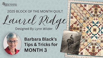Block of the Month - Laurel Ridge - Month 3