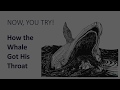 The Rabbit's Eyes Story Quiz