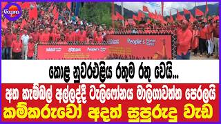 කොළ නුවරඑළිය රතුම රතු වෙයි...