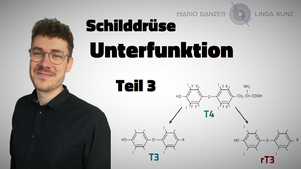 Ursachen für eine Schilddrüsenunterfunktion | 👨‍🏫 Hypothyreose | Folge 3