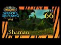 WoW Classic WotLK Shaman #66 - Elder Stranglethorn Tigers