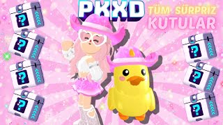 Pk Xd Çi̇ftli̇k Sezonu 7 Adet Sürpri̇z Kutunun Yeri̇ Pk Xd Yeni̇ Güncelleme Tüm Sürpri̇z Kutular