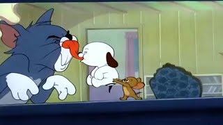 Tom and jerry - puppy tale [ t & j ]