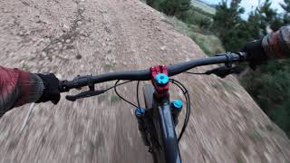 Trail Ride With Roscoe 7