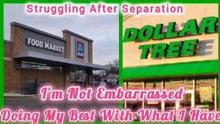 Struggling After Separation| Shopping @ Aldi & Dollar Tree Until Payday #separation #grocery #snacks