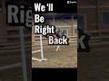 Thought I’d bless you guys with this one #viral #horse #equestrianjourney #fail #funny