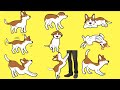 Le langage corporel des chiens expliqué | Incroyablement Top