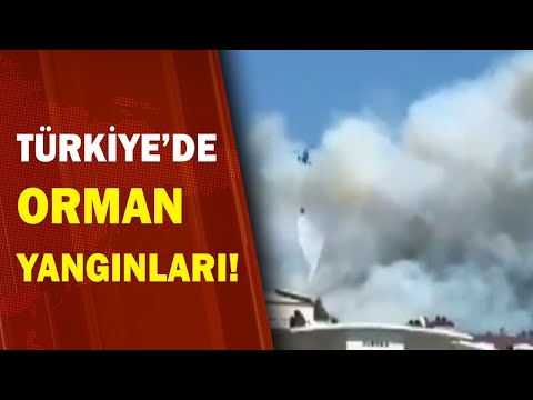 Türkiye'de Orman Yangınları! / A Haber
