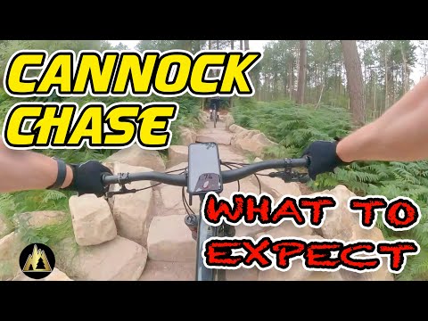 Cannock Chase MTB Trails - What To Expect