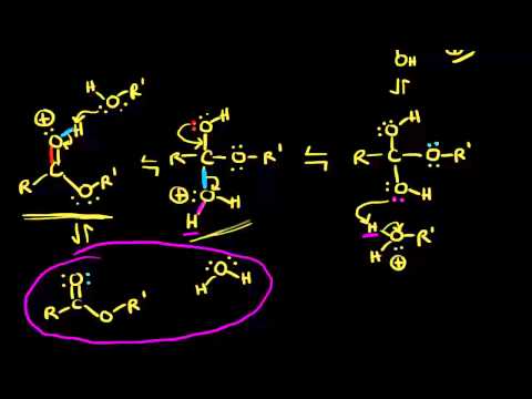 Видео: Защо естерификацията на Fischer е важна?
