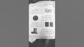 Class 9| Computer | Experimental Skills | ACTIVITY 2 | SPEAKER | NBF | FEDERAL BOARD| ISLAMABAD